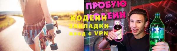 гидра Вяземский