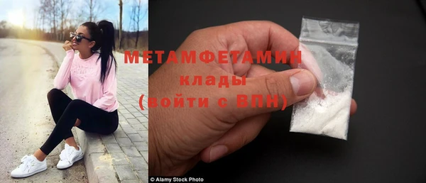 гидра Вяземский