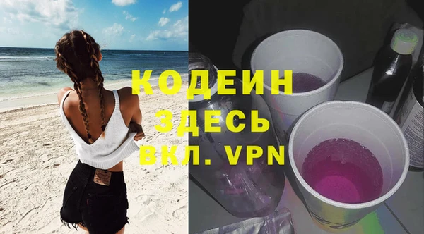 гидра Вяземский