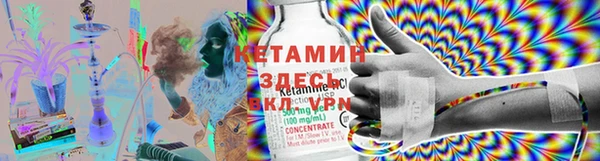 гидра Вяземский